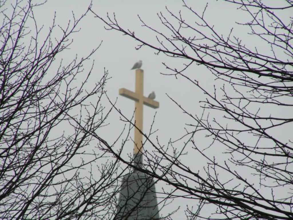 vēl viena vieta brīva, laikam gaida trešo... salidojums
Autors: Uldis  Dobelis