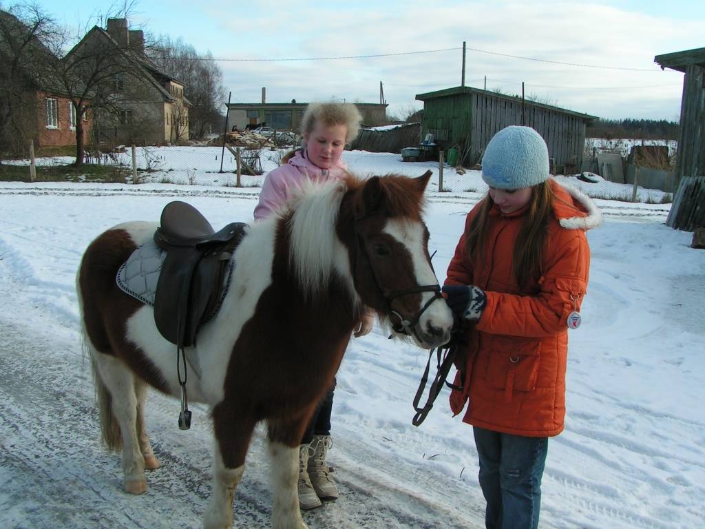 Vaiņodes pagasta Augustē sestdien vietējie iedzīvotāji un ikviens interesents tika aicināts baudīt ziemas priekus. 

Rīta pusē bērniem piedāvāja izjādes ar ponijiem un braucienus zirga vilktās kamanās. Augumā lielāki svētku dalībnieki...
Autors: Iluta Dreimane