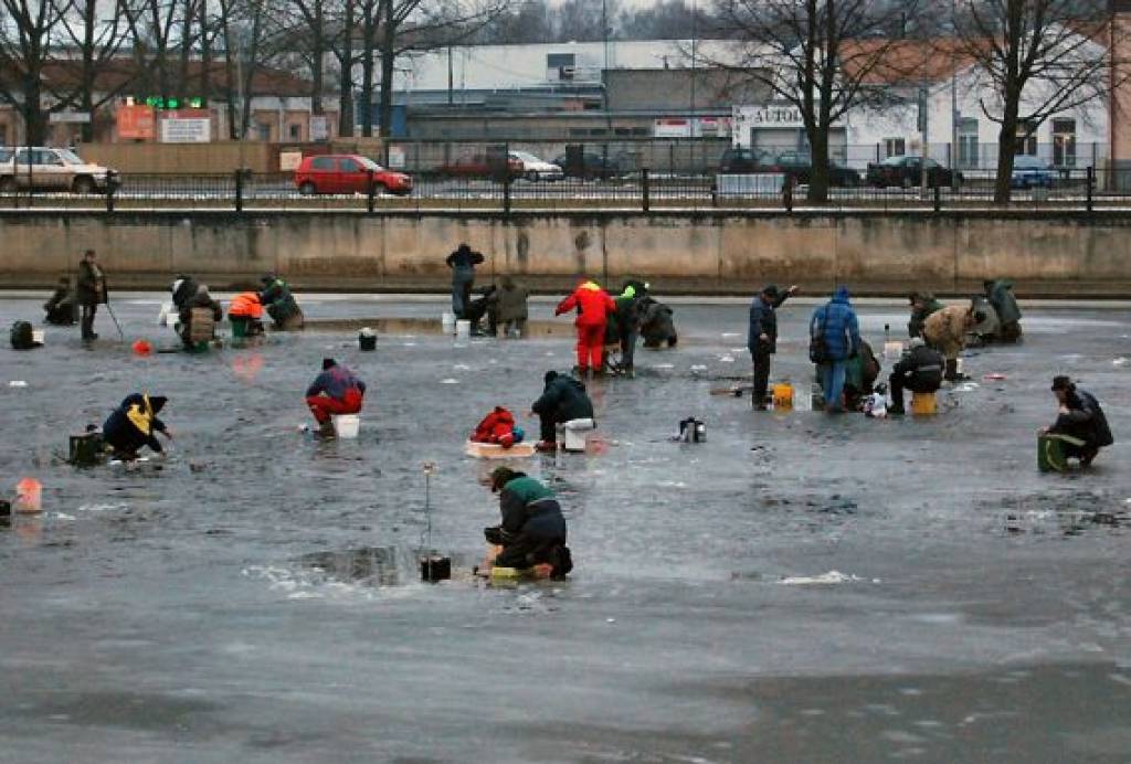 Autors: Aigars Prūsis