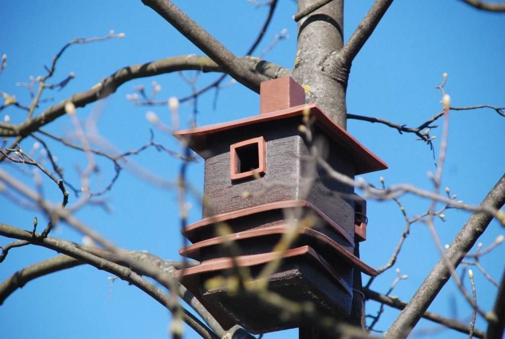 Sadarbībā ar Daugavpils universitāti Liepājas Mākslas koledžas dārzā materializējusies savdabīga ideja par mājokļiem putniem no netradicionāliem materiāliem, proti, keramikas. 

Mājokļi putniem šogad Liepājā tapuši kā Keramikas nodaļas...
Autors: Ilze Vainovska