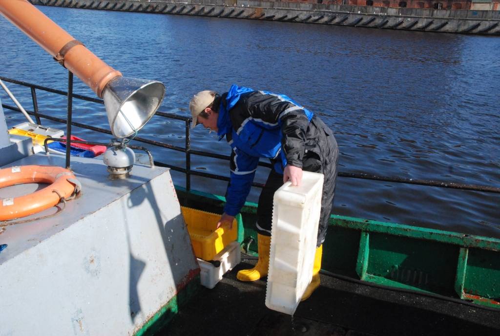 Šodien pulksten 9 Liepājas centrā pie Tramvaja tilta pēc daudzu gadu pārtraukuma atjaunoja sensenu tradīciju no laivas tirgot svaigas zivis. Tirgotājs piekrastes zvejnieks Oskars Kadeģis pastāsta, ka zivis - reņģes un butes - izķertas...
Autors: 