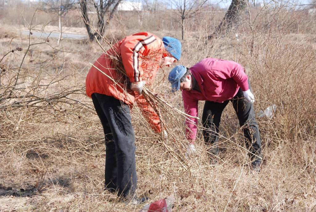 Pašvaldības aģentūra 