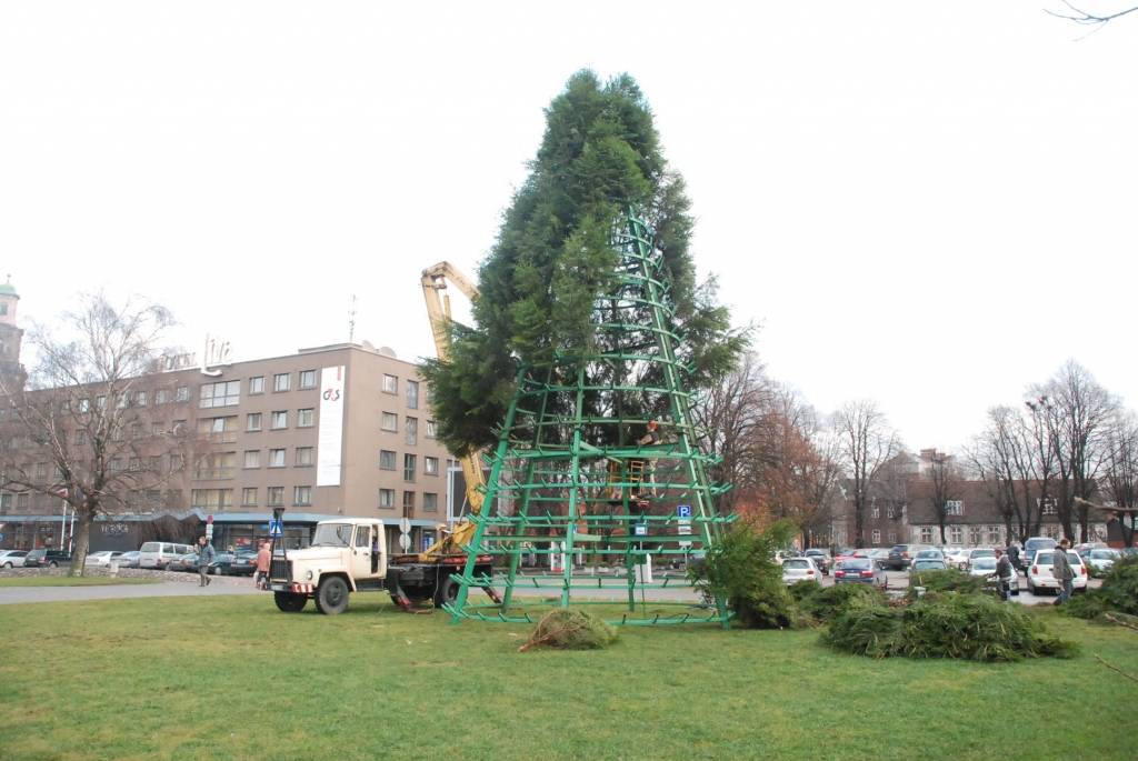 Šodien, 26. novembrī, Rožu laukumā sāk uzstādīt lielo svētku egli. 12 metrus augstā egle tiks veidota no 600 mazām eglītēm. Egles svinīgā iedegšana Rožu laukumā paredzēta 1. decembrī pulksten 18. Liepājas Bērnu un jaunatnes centra audzēkņi...