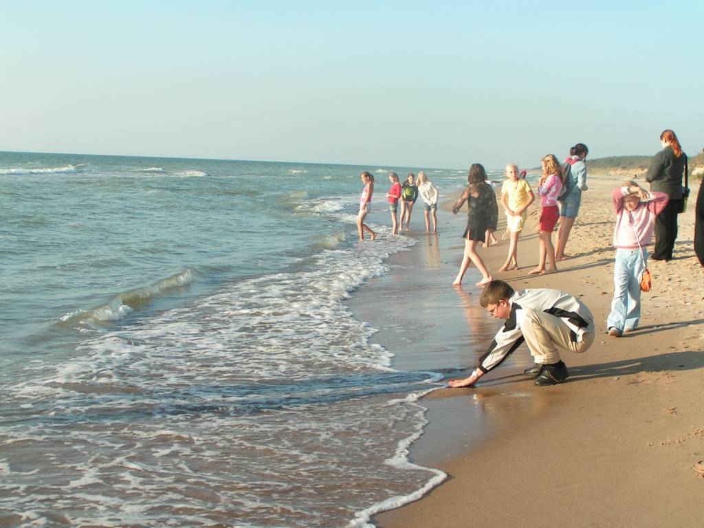 Autors: Dainis Ģelzis