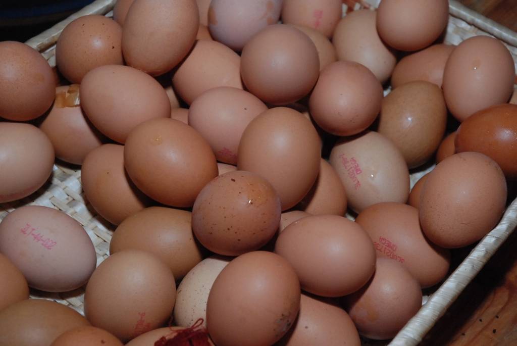 Autors: Dainis Ģelzis