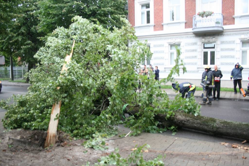 Autors: Uldis Dobelis