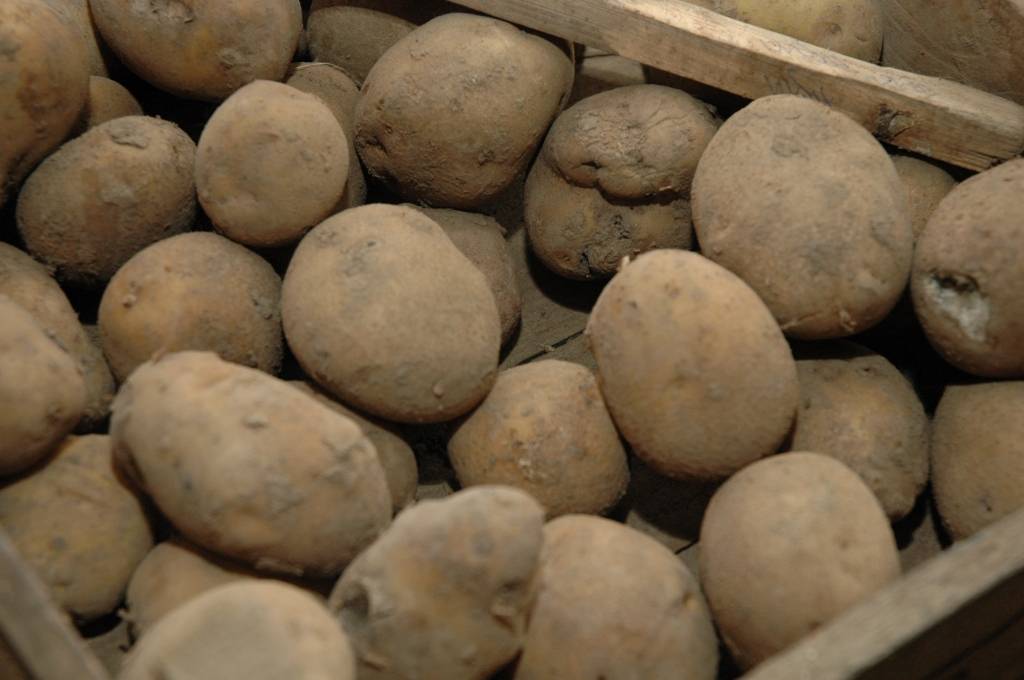 Autors: Dainis Ģelzis