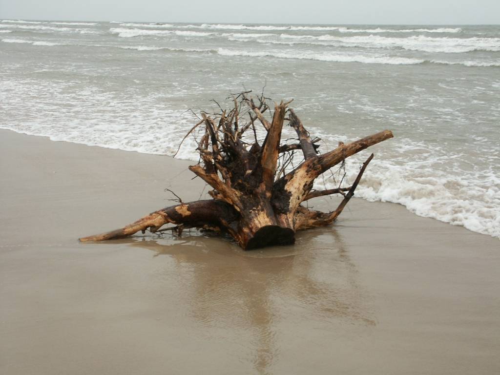 Autors: Dainis Ģelzis