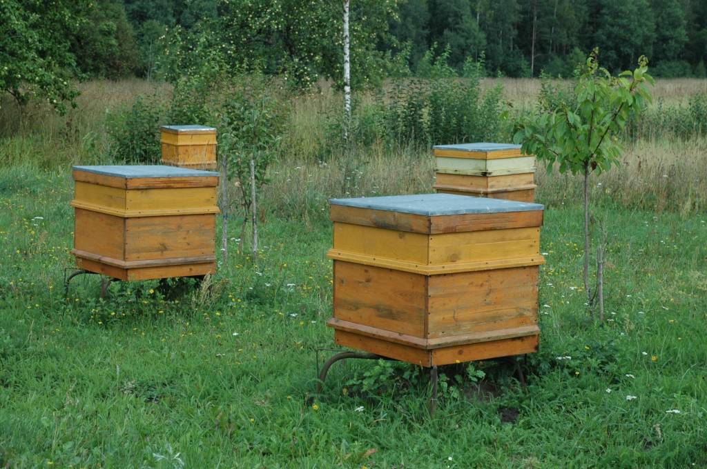 Autors: Dainis Ģelzis