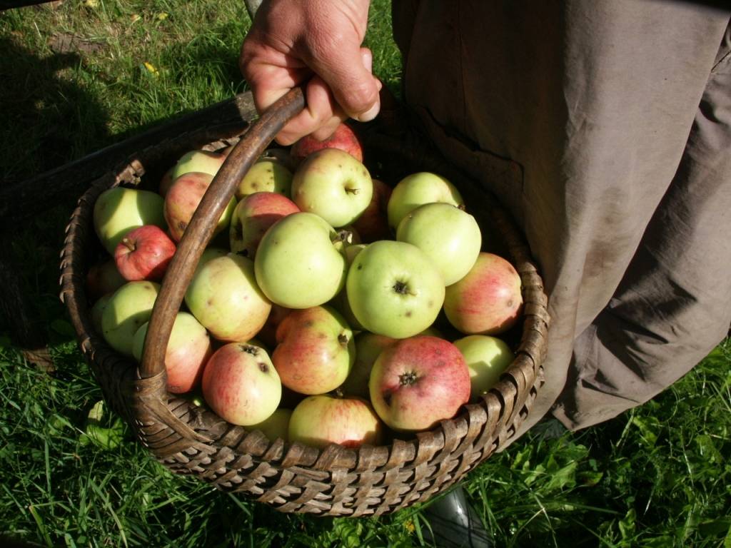 Autors: Dainis Ģelzis
