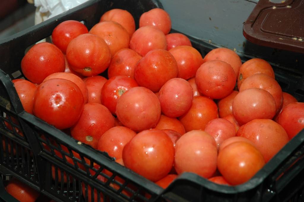 Autors: Dainis Ģelzis