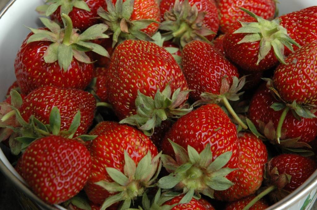 Autors: Dainis Ģelzis