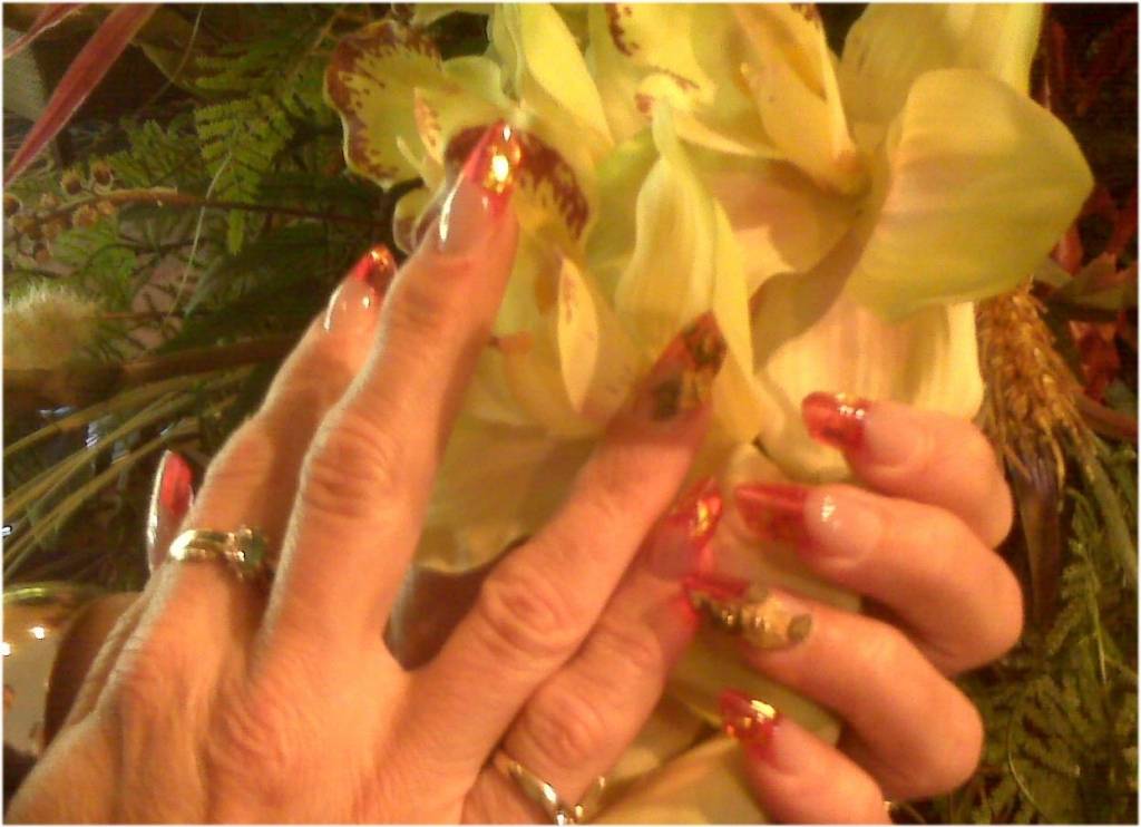 Autors: www.everythingnailzink.com