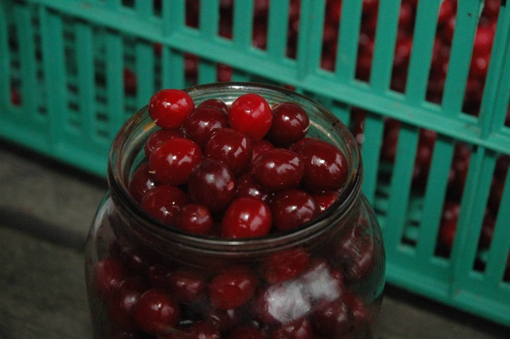 Autors: Dainis Ģelzis