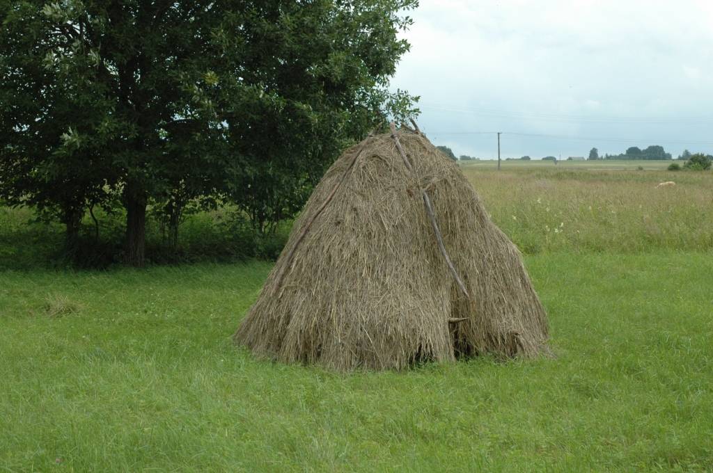 Autors: Dainis Ģelzis