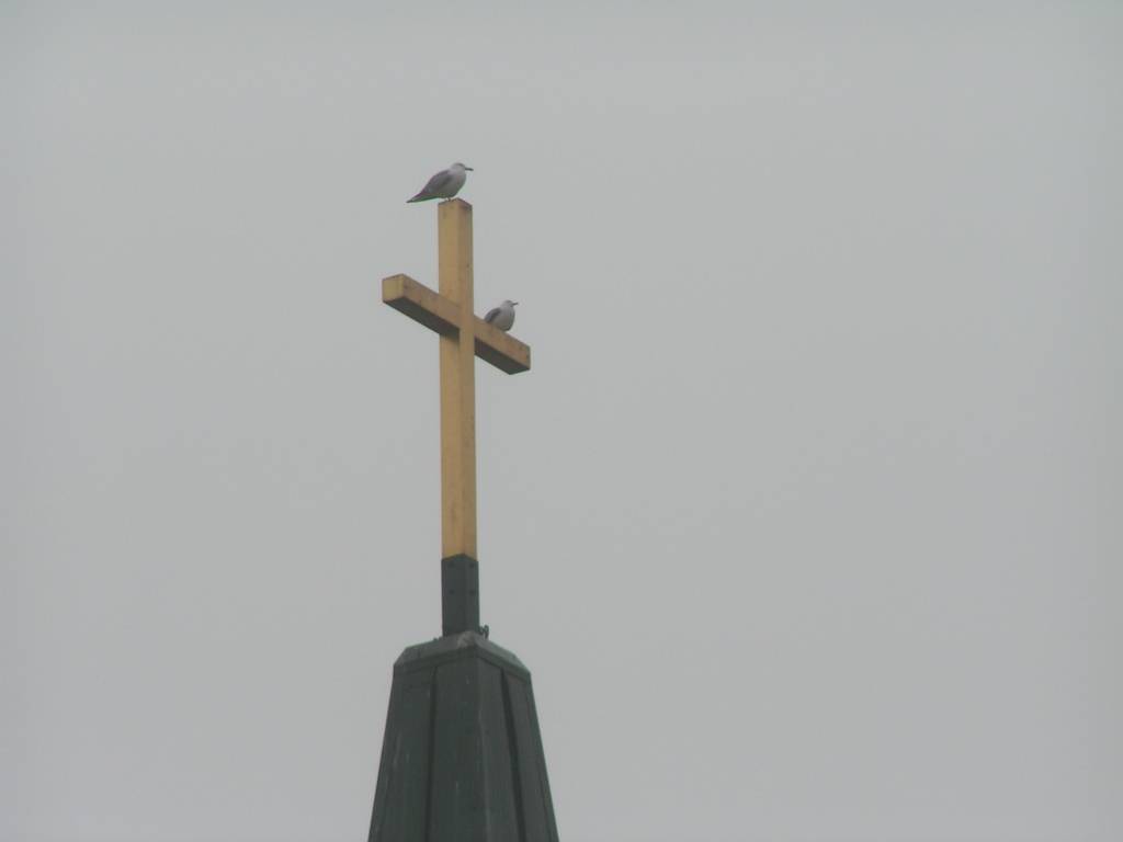 Autors: Dainis Ģelzis