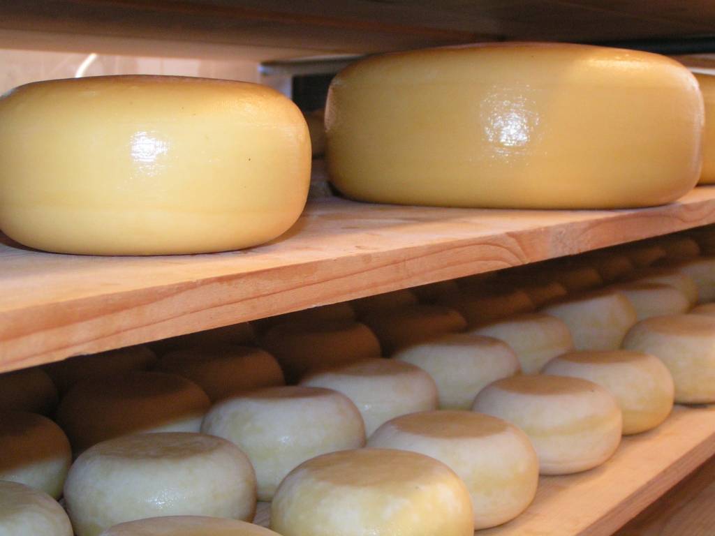 Autors: Dainis Ģelzis