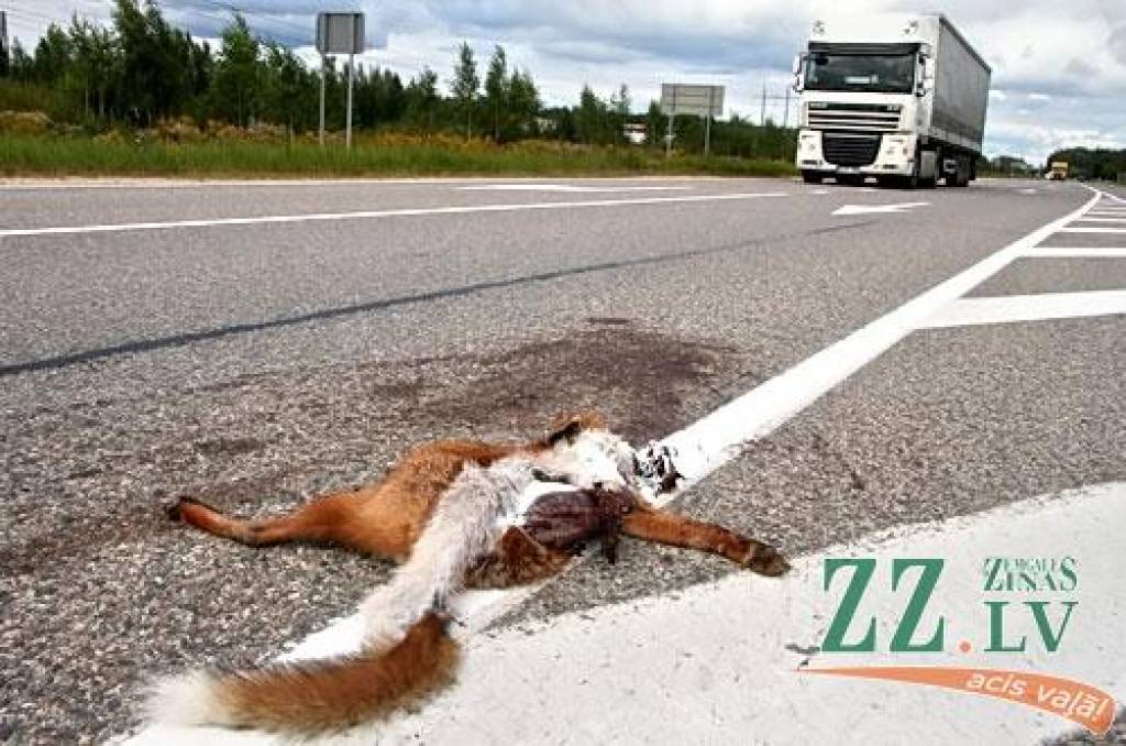 Autors: Agris Samcovs