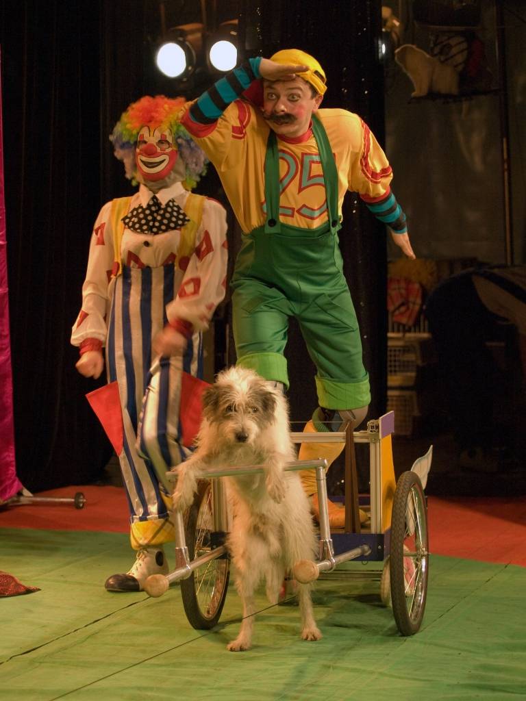 Autors: Publicitātes foto