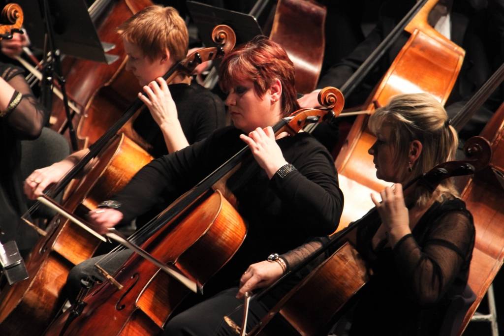 Autors: publicitātes foto