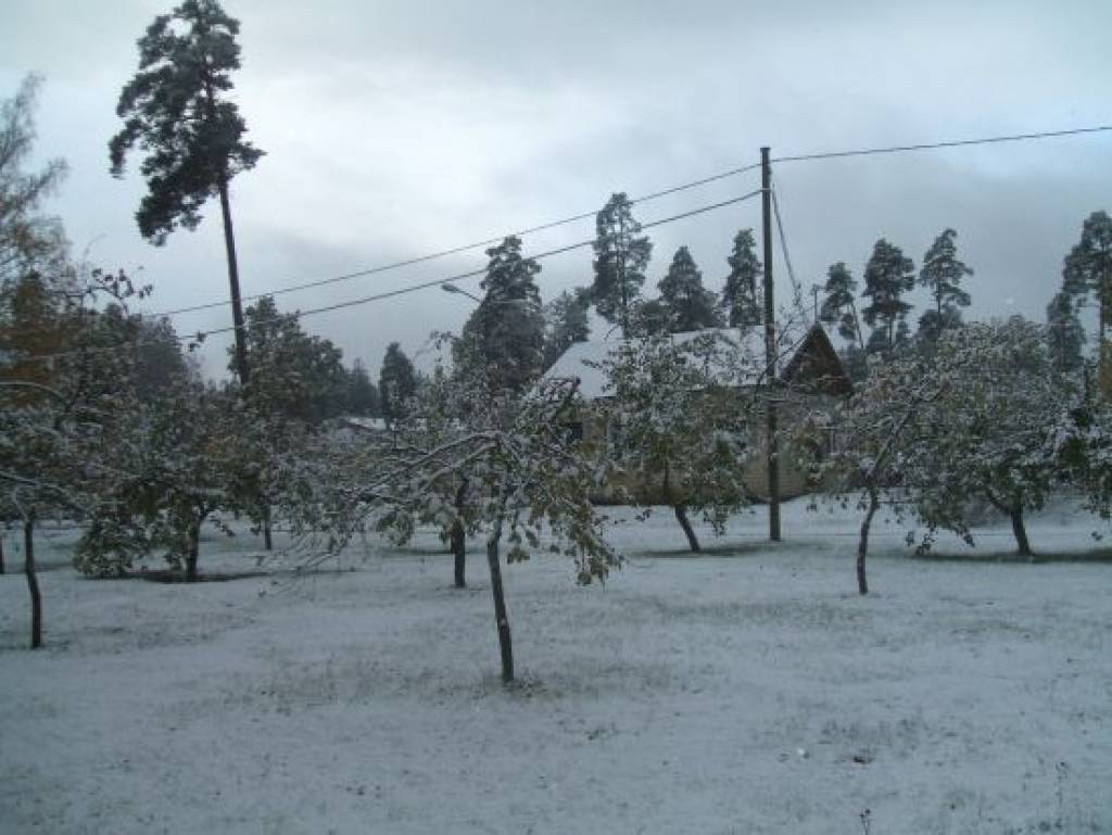 Autors: Lasītāja foto