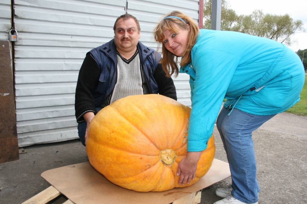 Autors: Dainis Ģelzis