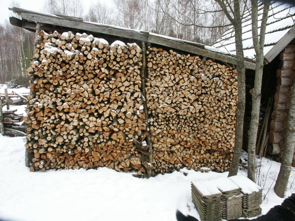 Autors: Dainis Ģelzis