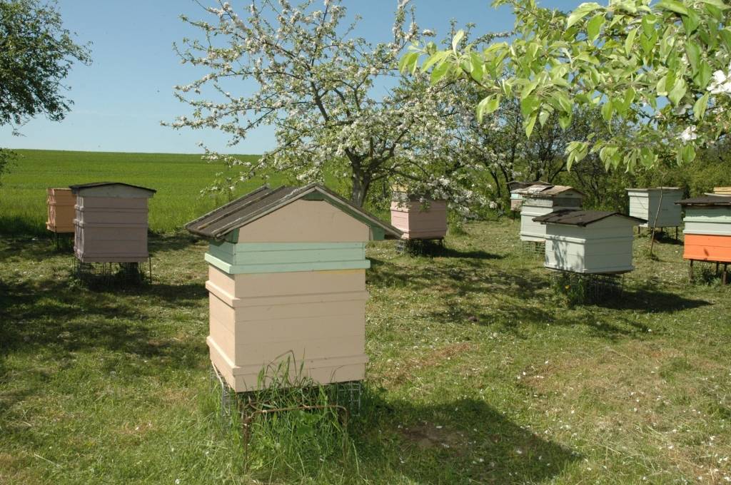 Autors: Dainis Ģelzis