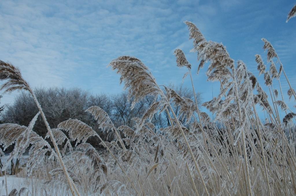 Autors: Dainis Ģelzis