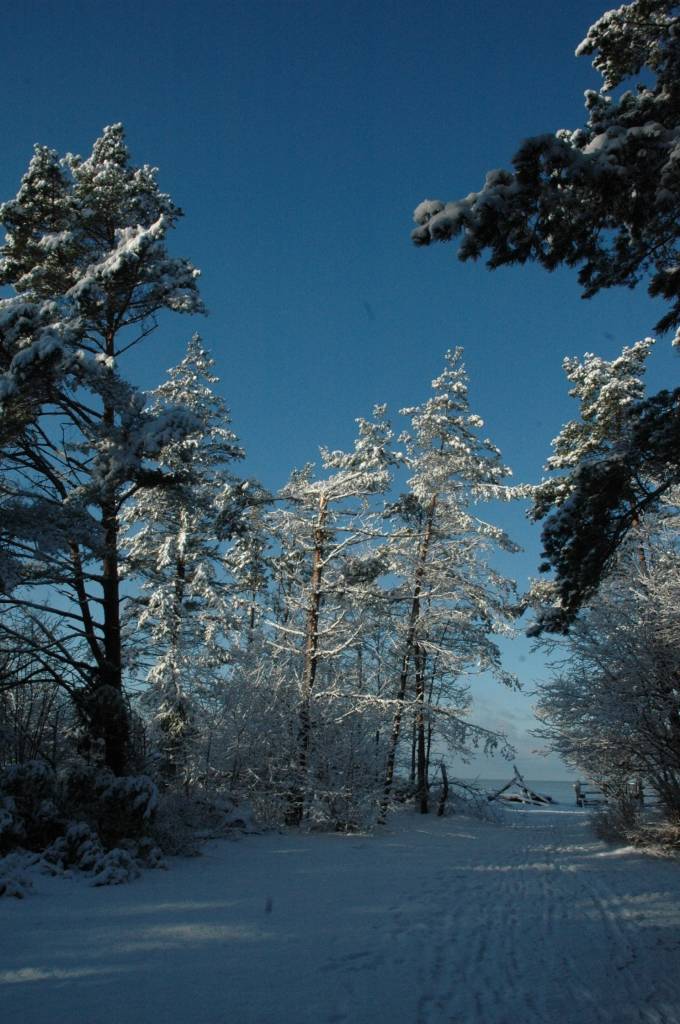 Autors: Dainis Ģelzis