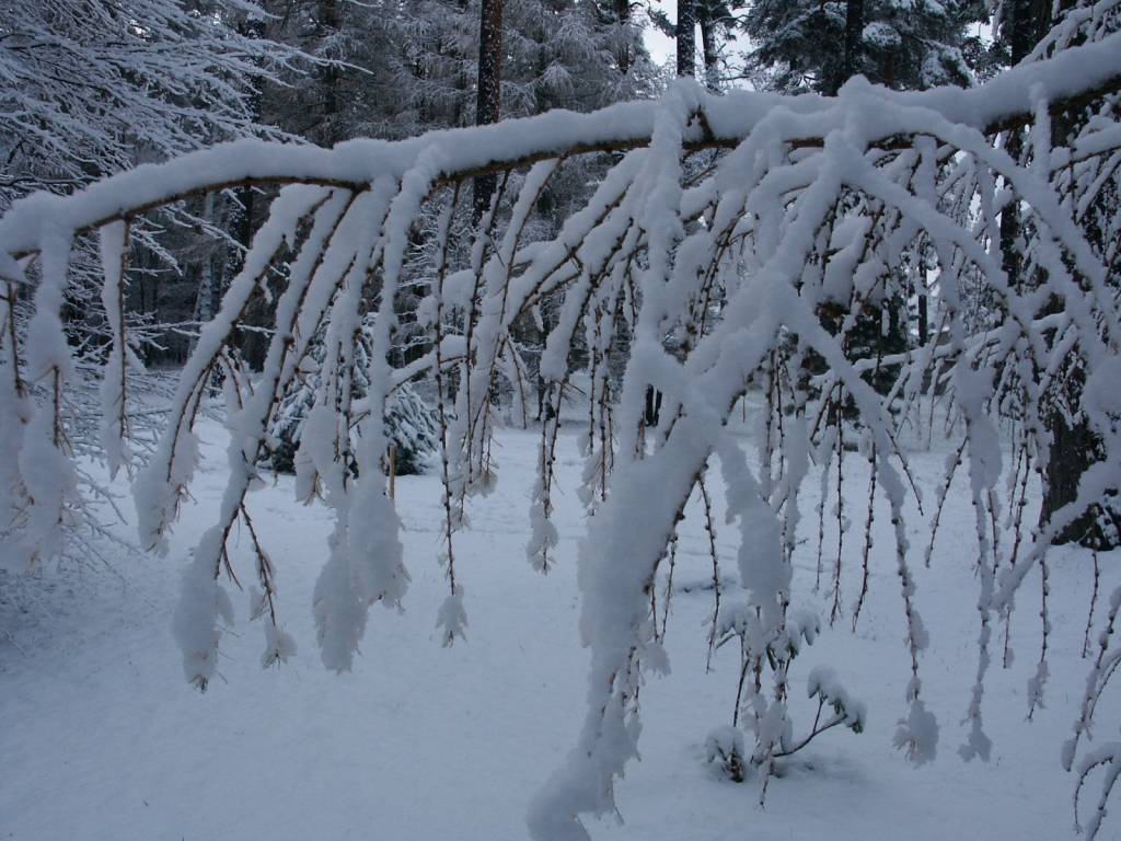 Autors: Dainis Ģelzis