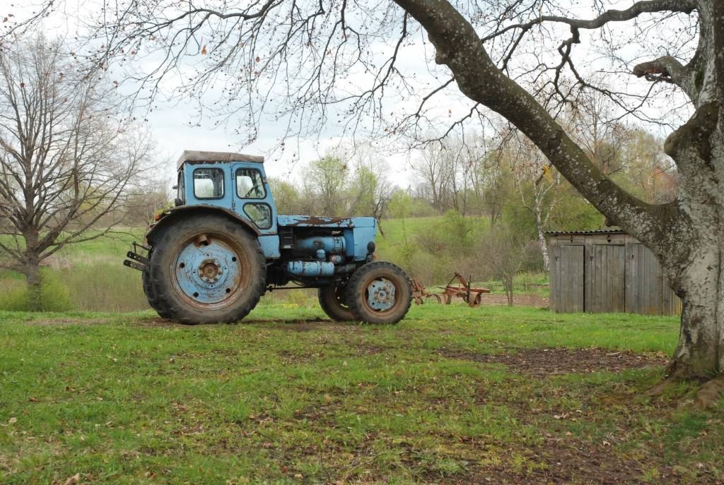 Autors: DAINIS ĢELZIS