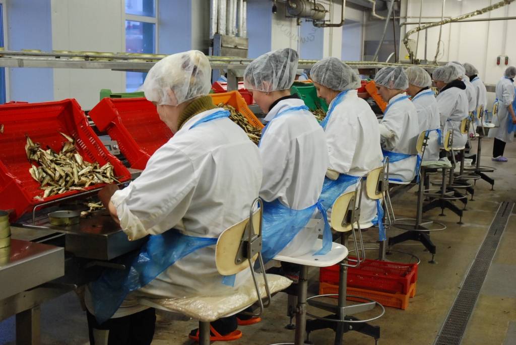 Autors: DAINIS ĢELZIS