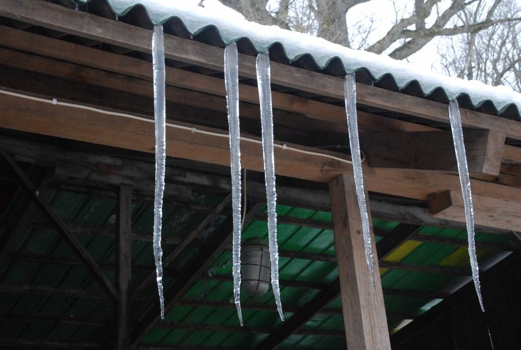 Autors: Dainis Ģelzis