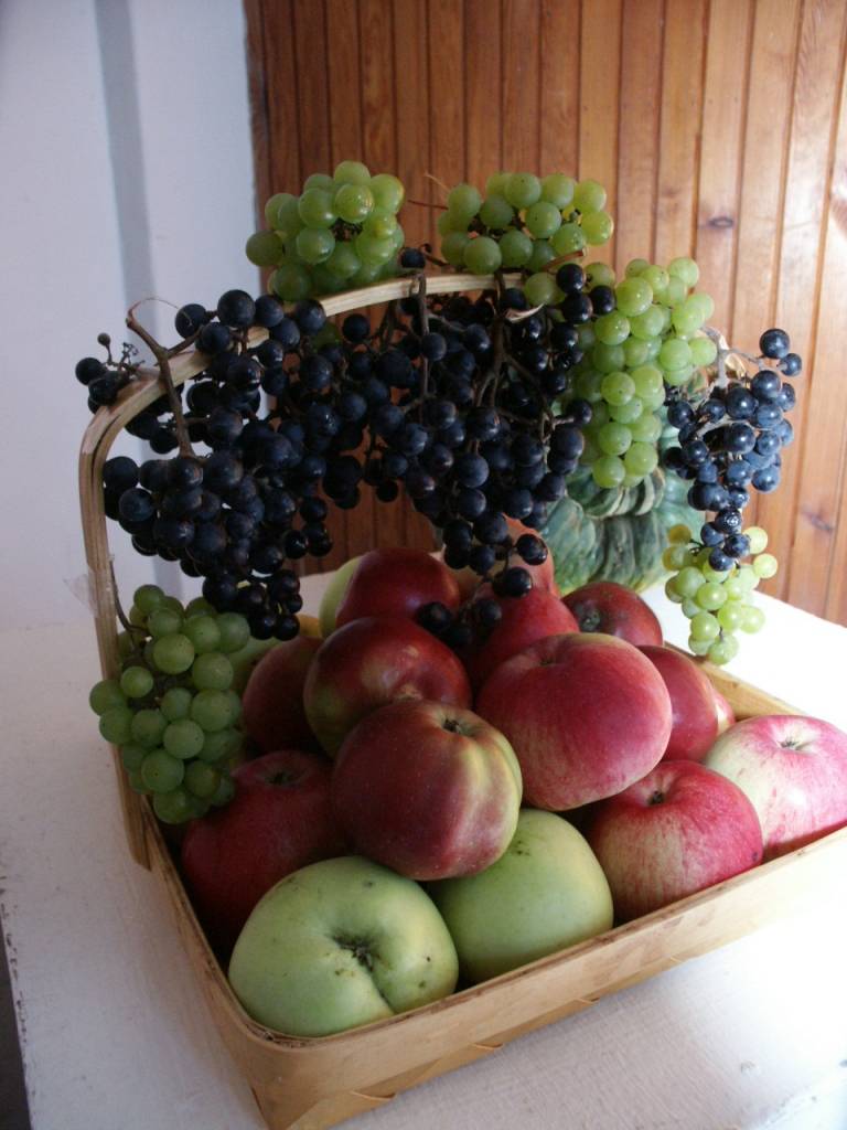 Autors: Dainis Ģelzis