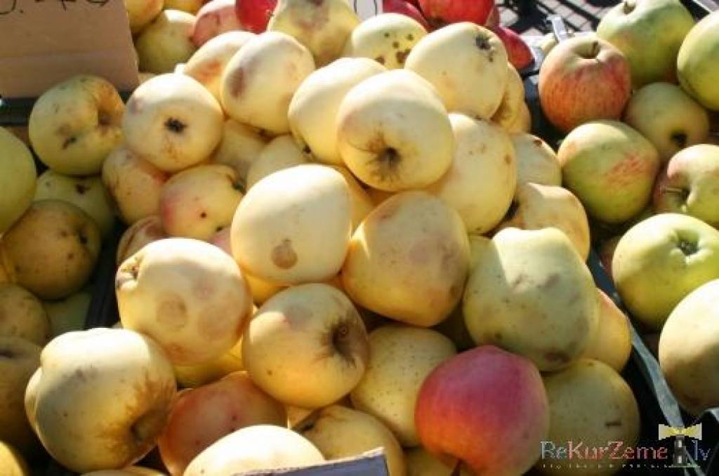 Autors: Dainis Ģelzis