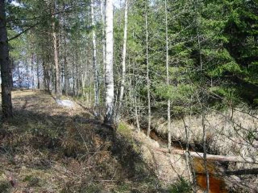 Autors: Publicitātes foto