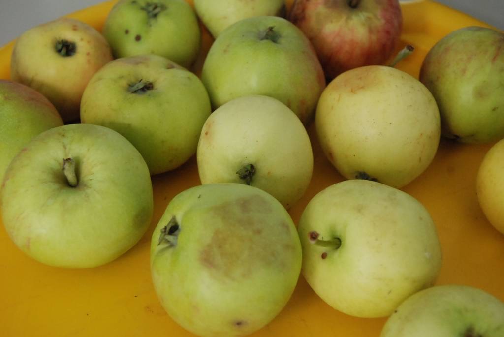 Autors: Dainis Ģelzis