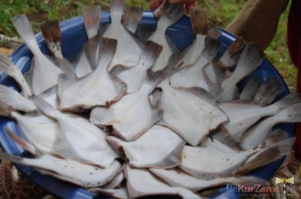 Autors: Publicitātes foto