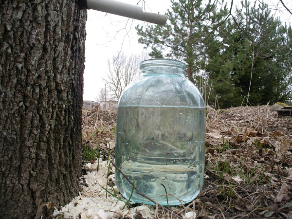 Autors: Publicitātes foto