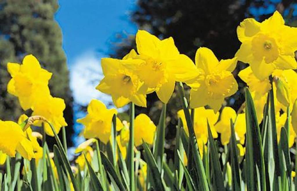 Autors: Publicitātes foto