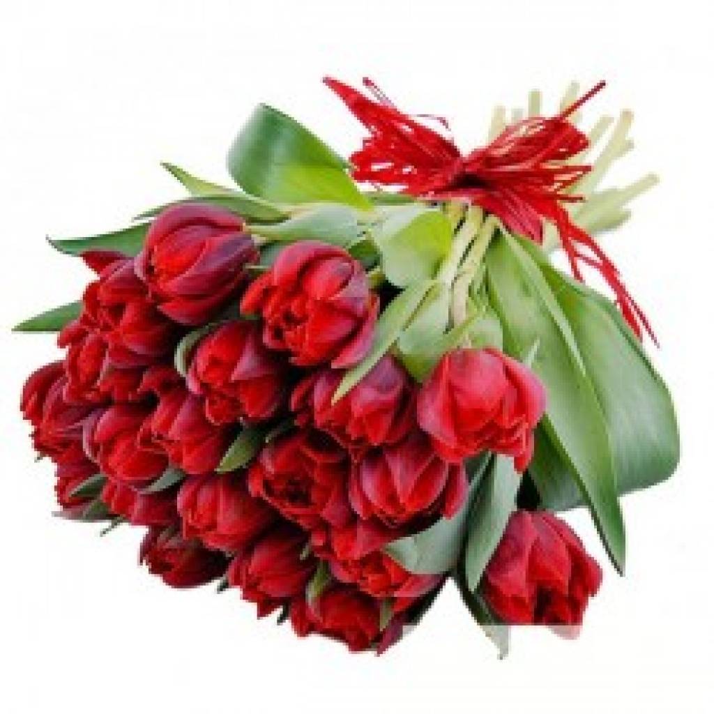 Autors: Publicitātes foto