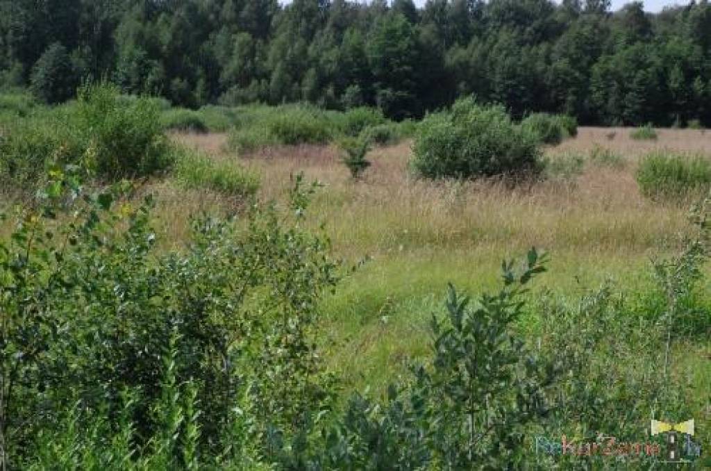 Autors: Dainis Ģelzis