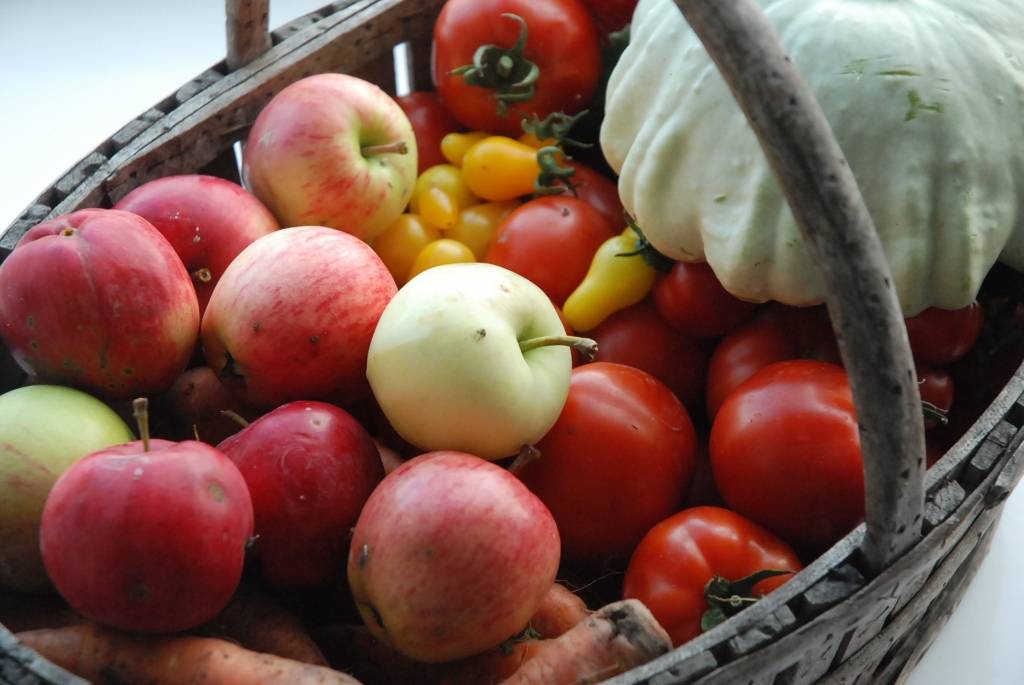 Autors: Dainis Ģelzis