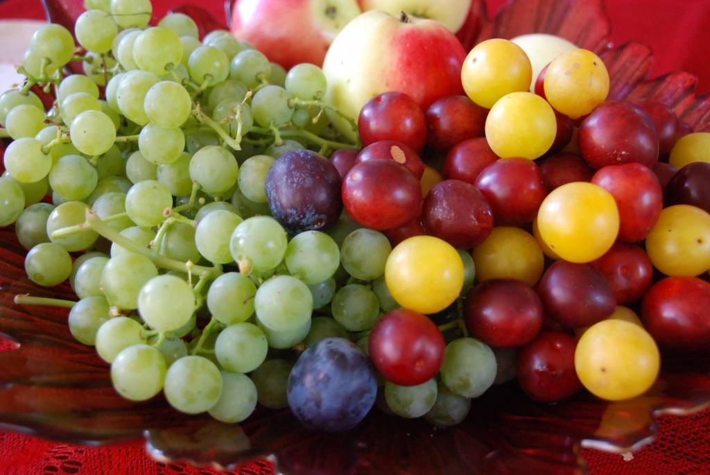 Autors: Dainis Ģelzis