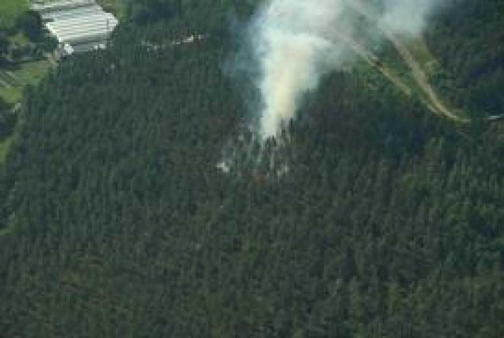 Autors: www.vmd.gov.lv