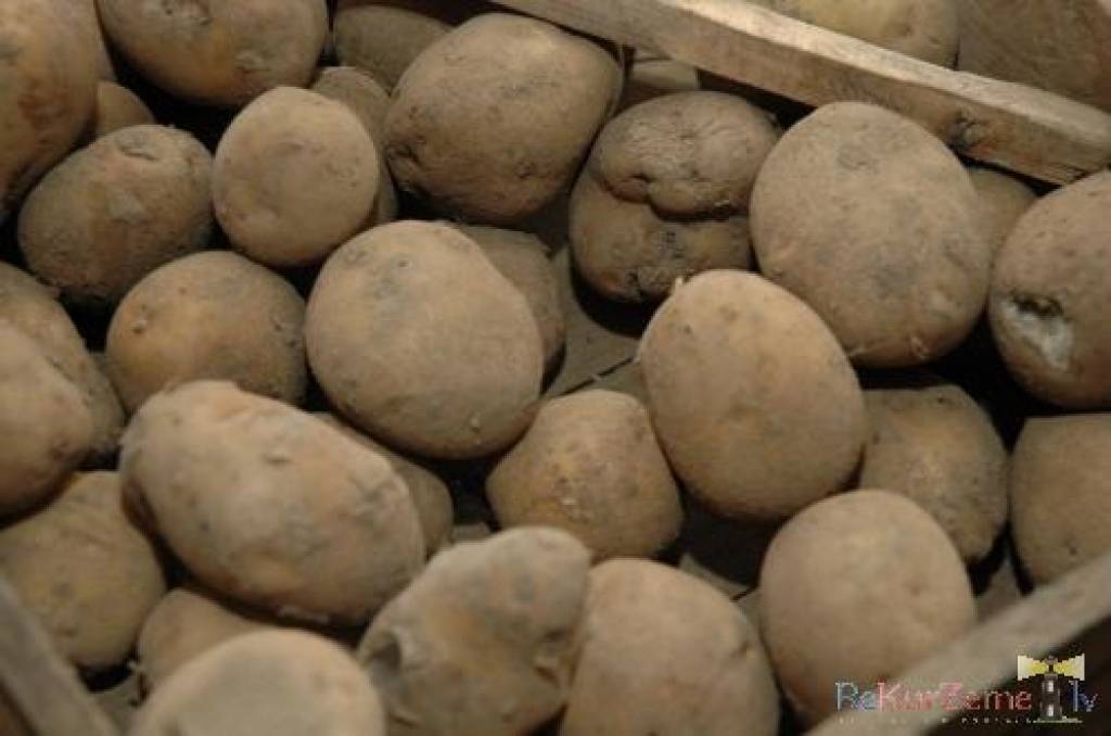 Autors: Dainis Ģelzis