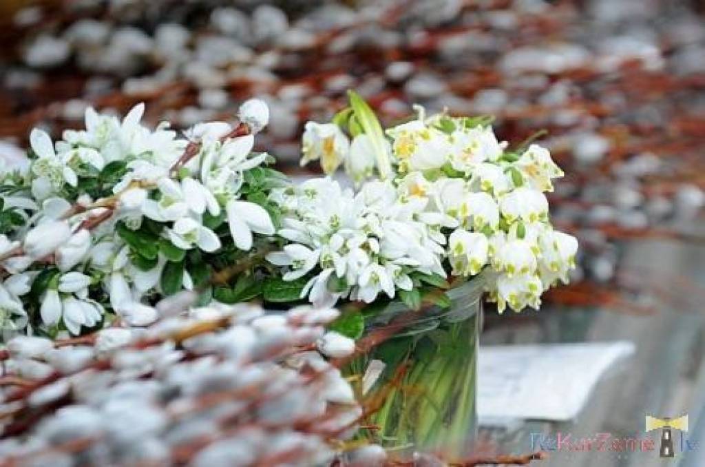 Autors: Publicitātes foto