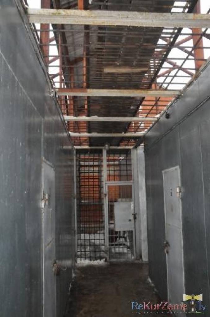 Autors: Dainis Ģelzis