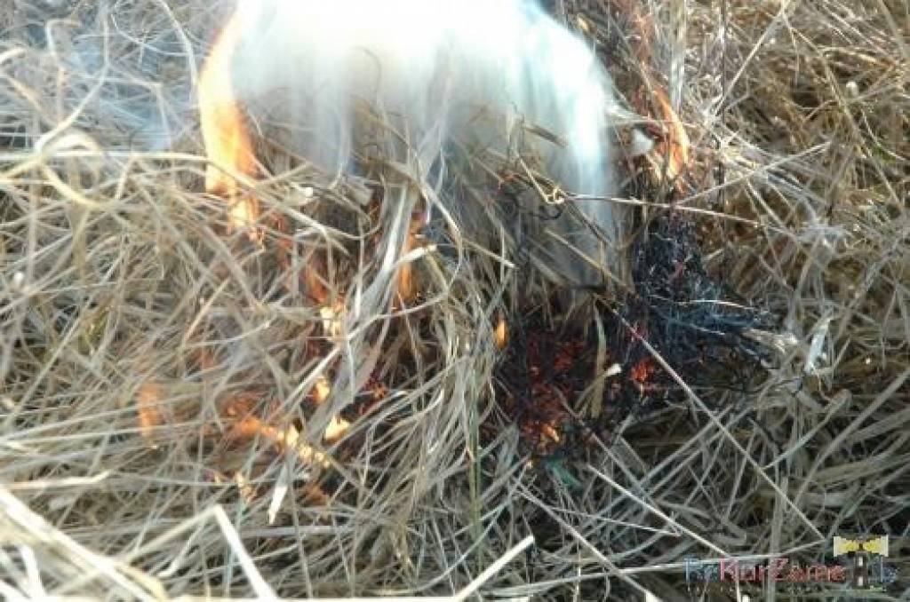 Autors: Dainis Ģelzis